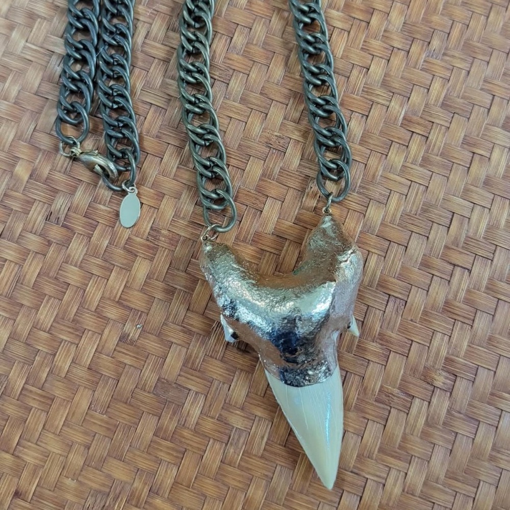 Shark tooth necklace